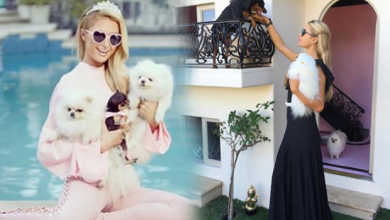 Paris Hilton köpeklerine malikane yaptırdı! Resmen servet ödedi…